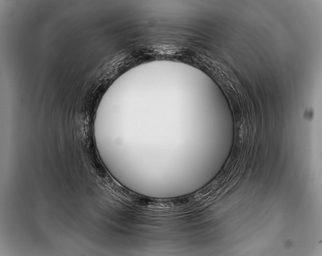 X0000101110559200806261111