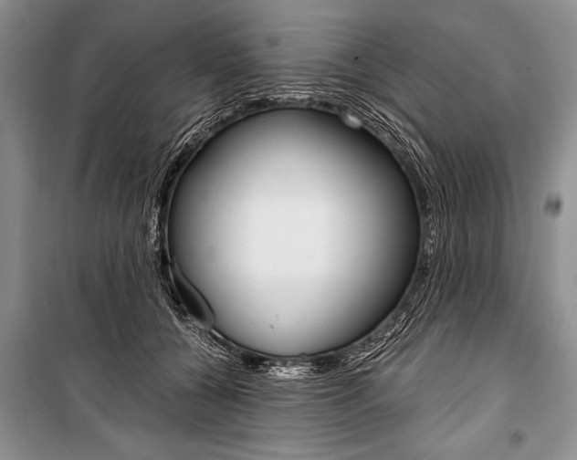 X0000101110560200806261111