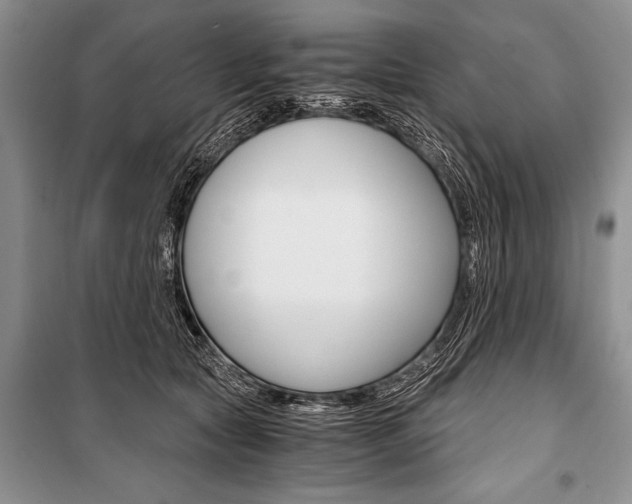 X0000101110561200806261111