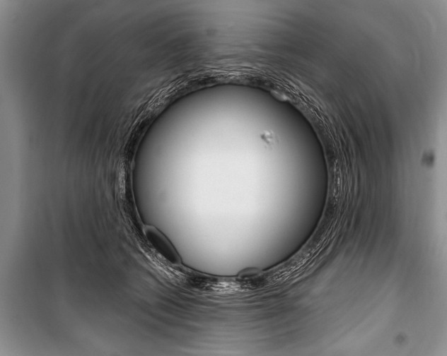 X0000101110562200806261111