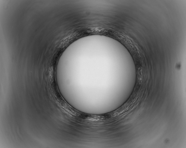 X0000101110563200806261111