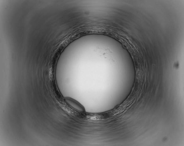 X0000101110564200806261111