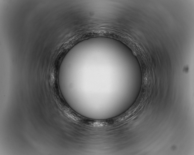 X0000101110566200806261111