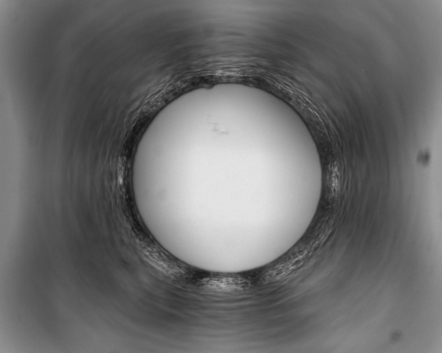 X0000101110567200806261112