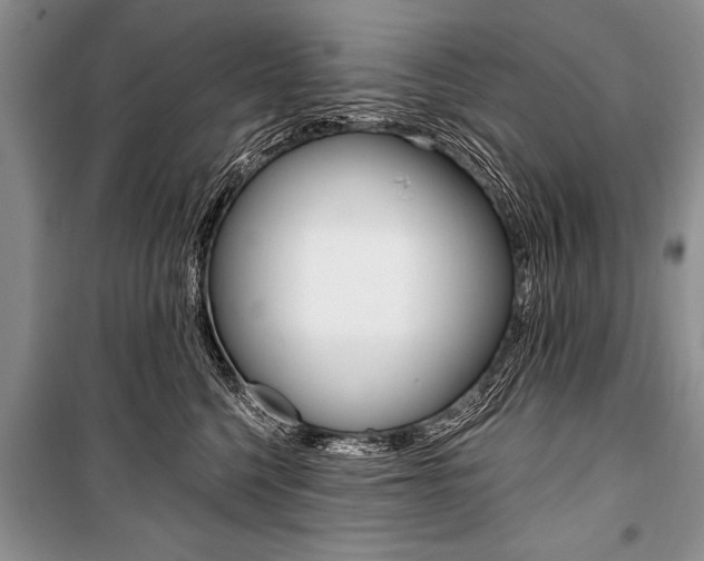 X0000101110568200806261112