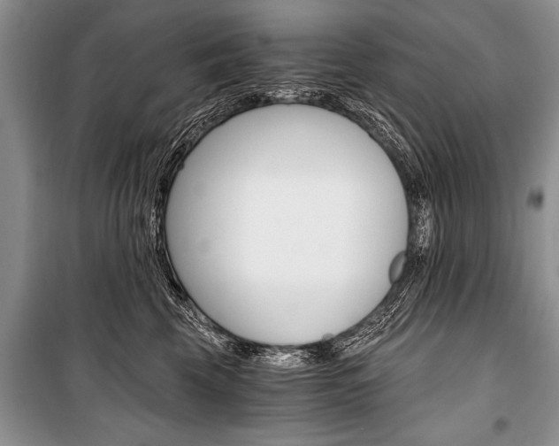 X0000101110569200806261112
