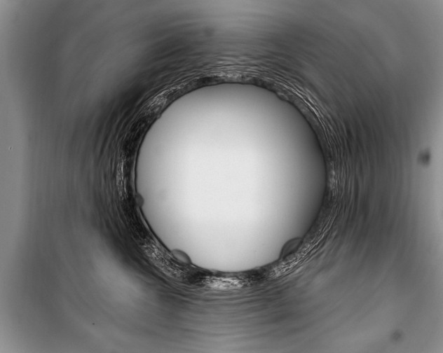 X0000101110572200806261112