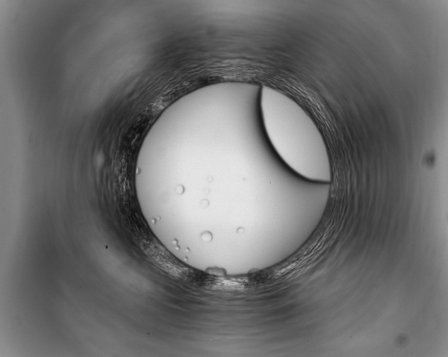 X0000101110573200806261112