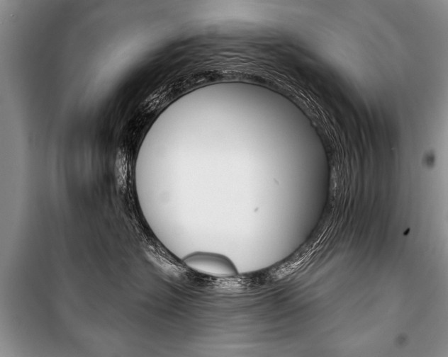 X0000101110574200806261112