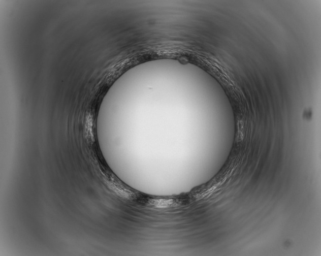 X0000101110575200806261112