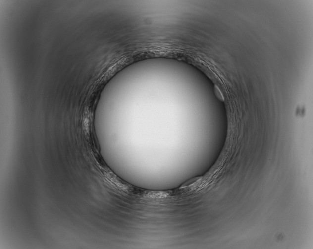 X0000101110576200806261112