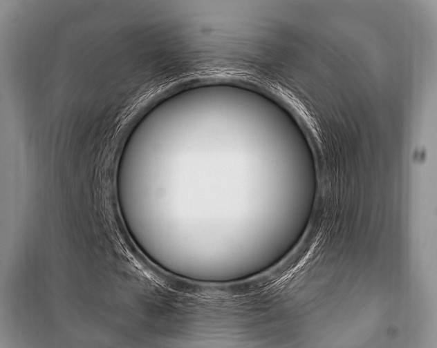 X0000101110577200806261111