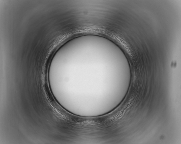X0000101110578200806261111