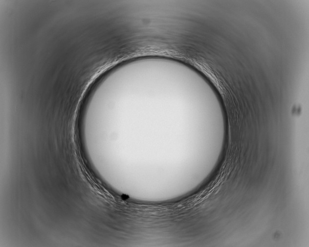 X0000101110579200806261111