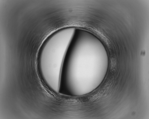 X0000101110580200806261111