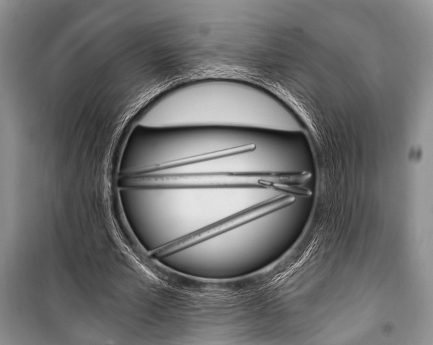 X0000101110581200806261111