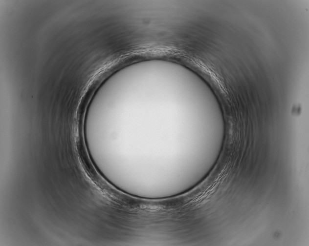 X0000101110582200806261111