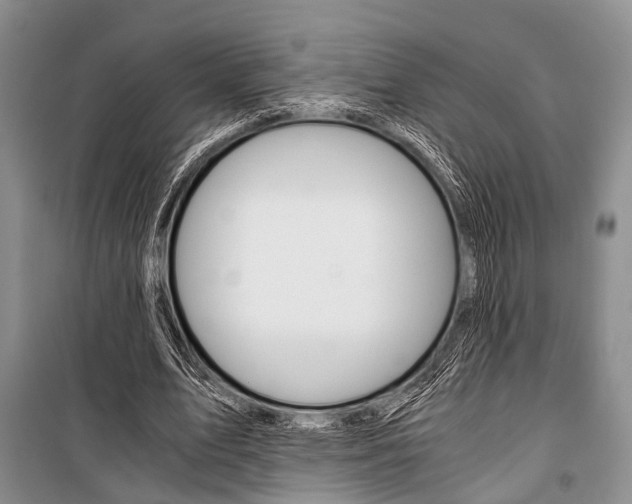 X0000101110583200806261111