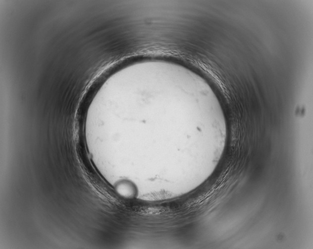 X0000101110584200806261111