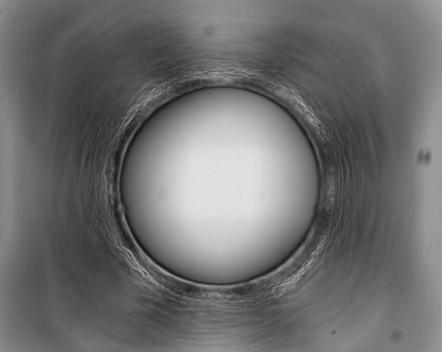 X0000101110585200806261111