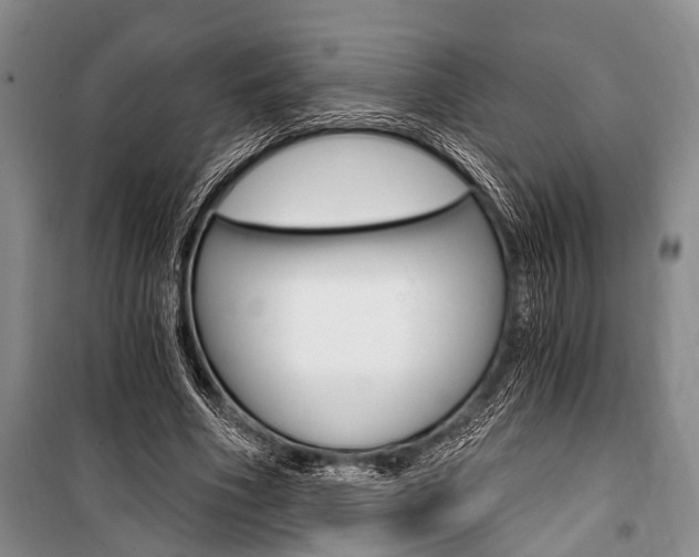 X0000101110586200806261111