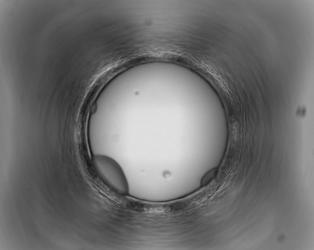 X0000101110587200806261111