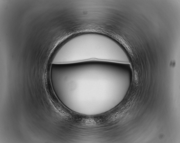 X0000101110588200806261111