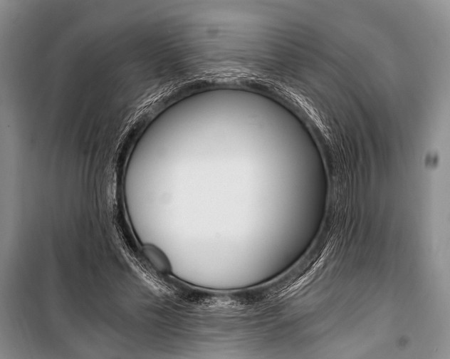 X0000101110589200806261111