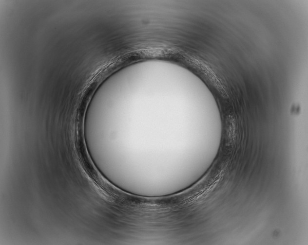 X0000101110590200806261111