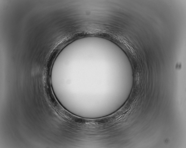 X0000101110591200806261111