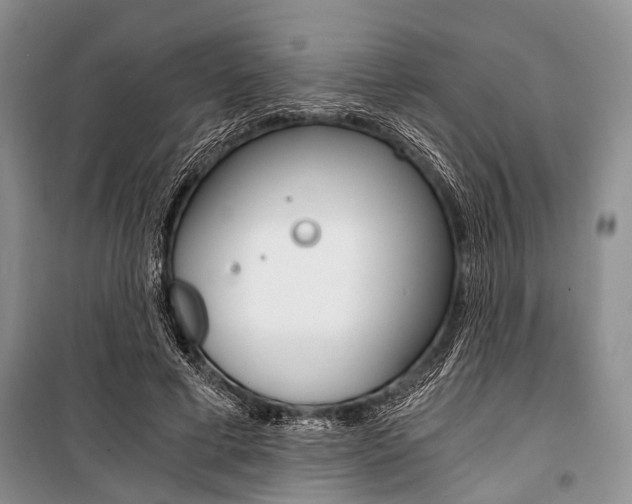 X0000101110593200806261111