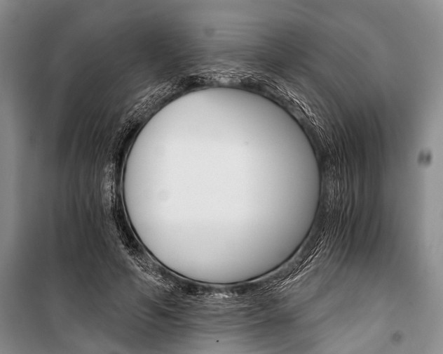 X0000101110594200806261111