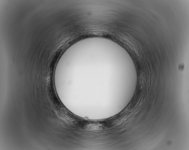 X0000101110595200806261111
