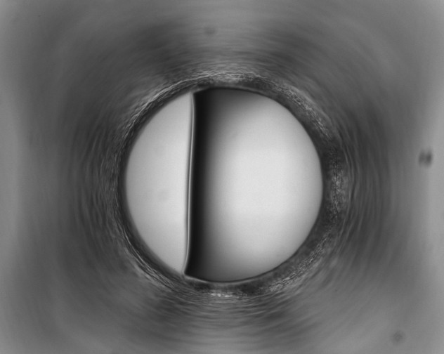X0000101110596200806261111