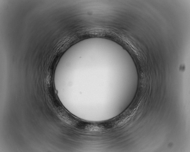 X0000101110597200806261111