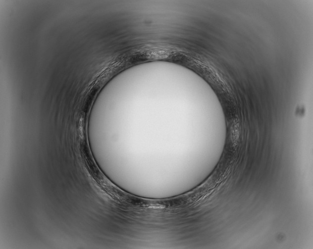 X0000101110598200806261111