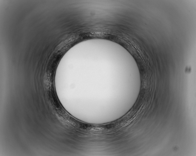 X0000101110599200806261111