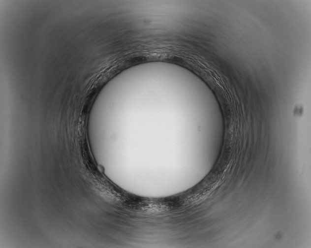 X0000101110601200806261111