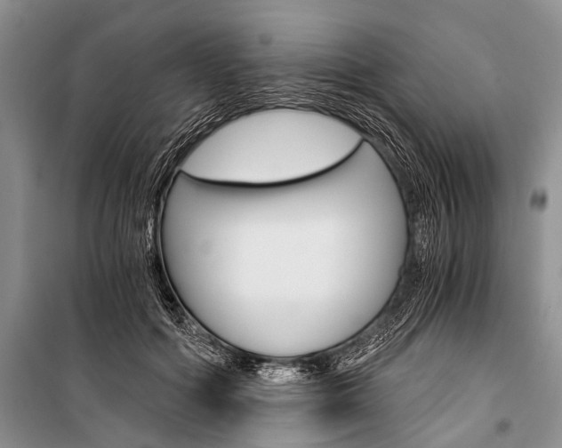X0000101110602200806261111