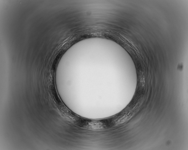 X0000101110603200806261111