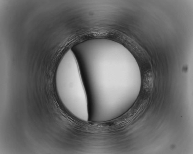 X0000101110604200806261111