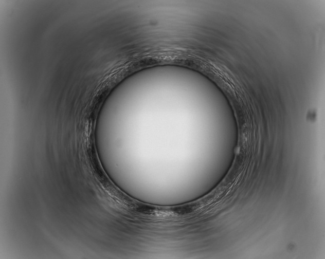 X0000101110605200806261111