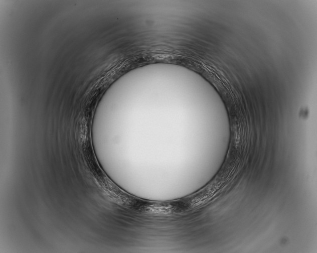 X0000101110606200806261111