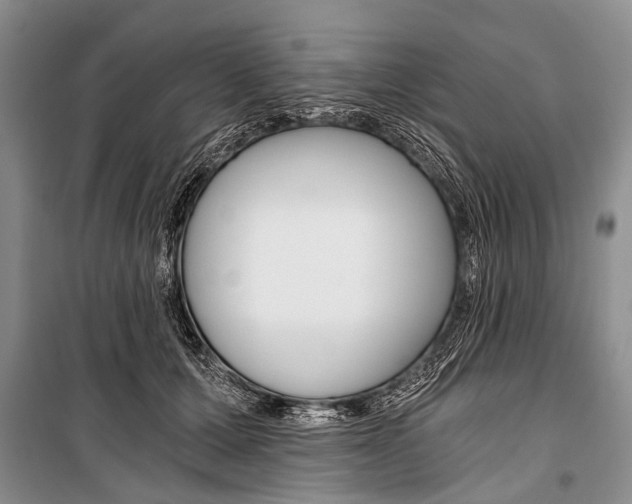 X0000101110607200806261111