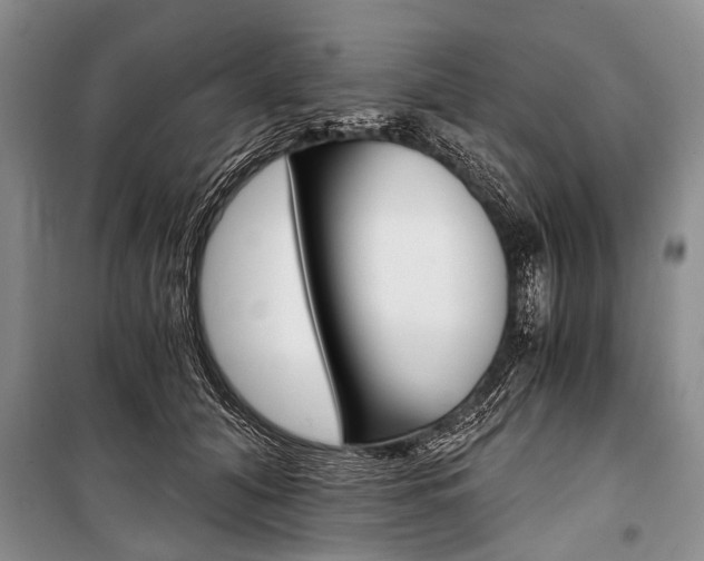 X0000101110608200806261110