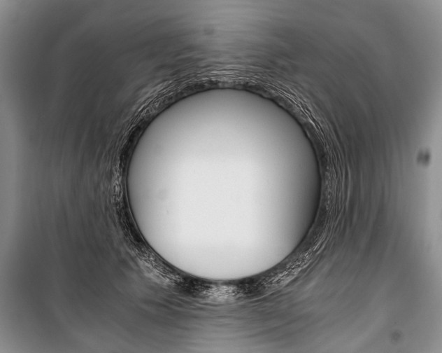 X0000101110609200806261110