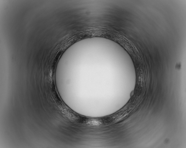 X0000101110610200806261110