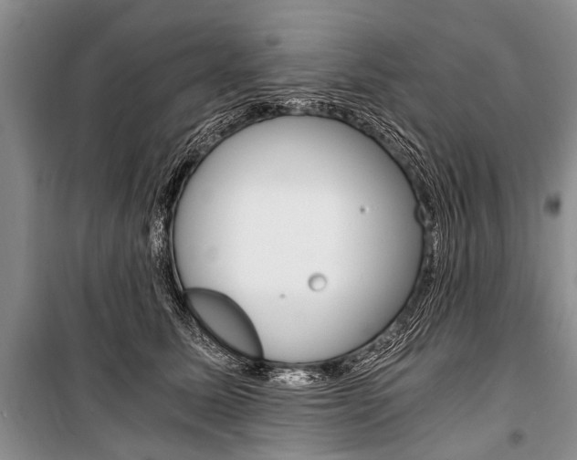 X0000101110611200806261110