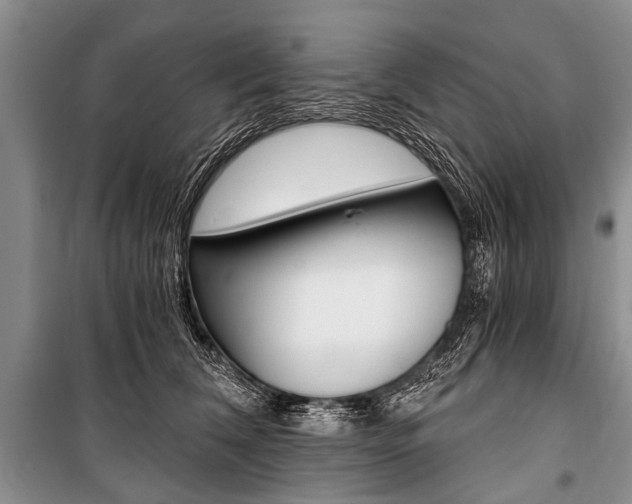 X0000101110612200806261110