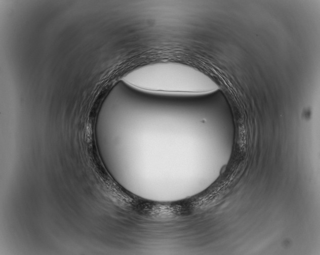 X0000101110613200806261110
